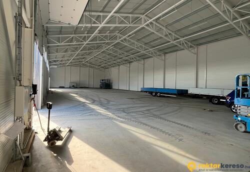 Kiadó raktár PSP Holding